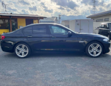 2010 BMW 523i