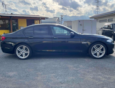 2010 BMW 523i