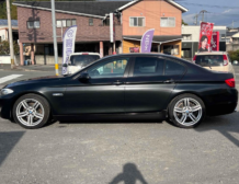 2010 BMW 523i