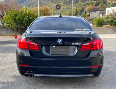 2010 BMW 523i