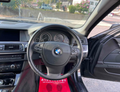 2010 BMW 523i