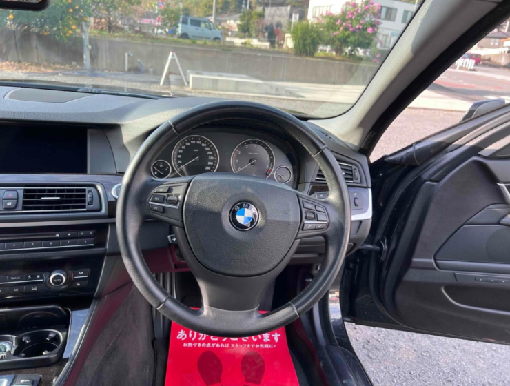 2010 BMW 523i
